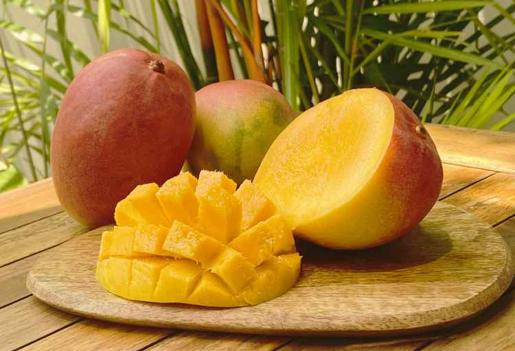When is Mango Season in Mexico? A Guide to Nature’s Sweet Bounty