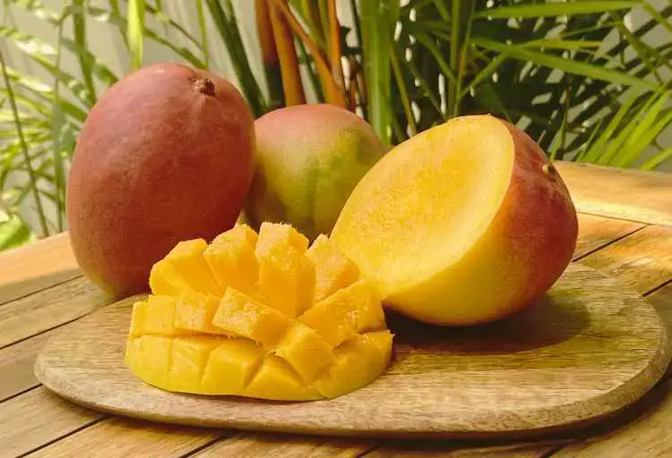 When Is Mango Season In Mexico