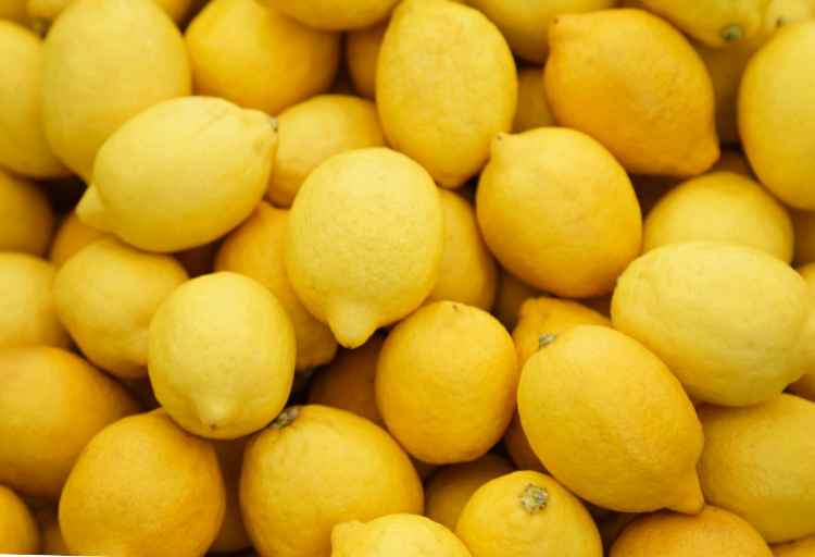 Are Lemons Flammable: Separating Fact from Fiction