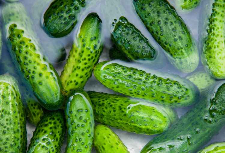How Long Can You Leave Cucumber in Water? A Guide to Infused Waters