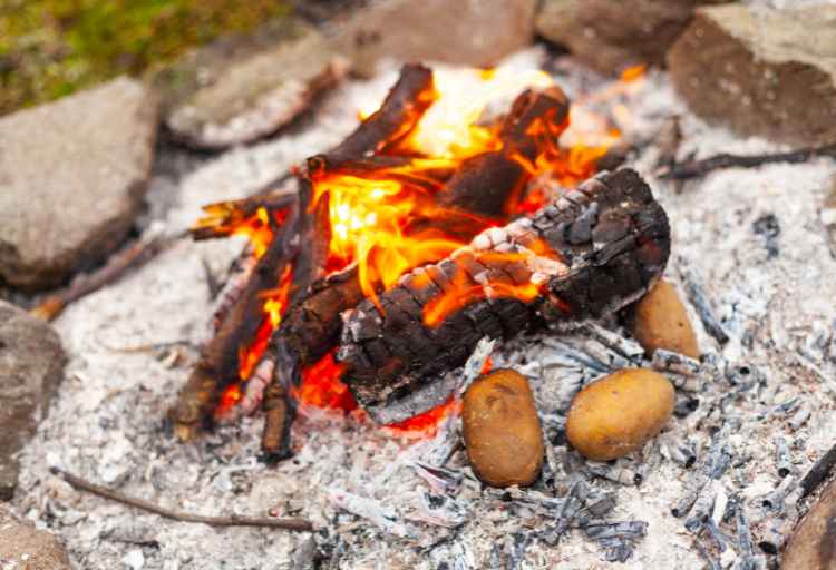 How to Cook Potatoes in Fire Without Foil: A  10 Steps Guide