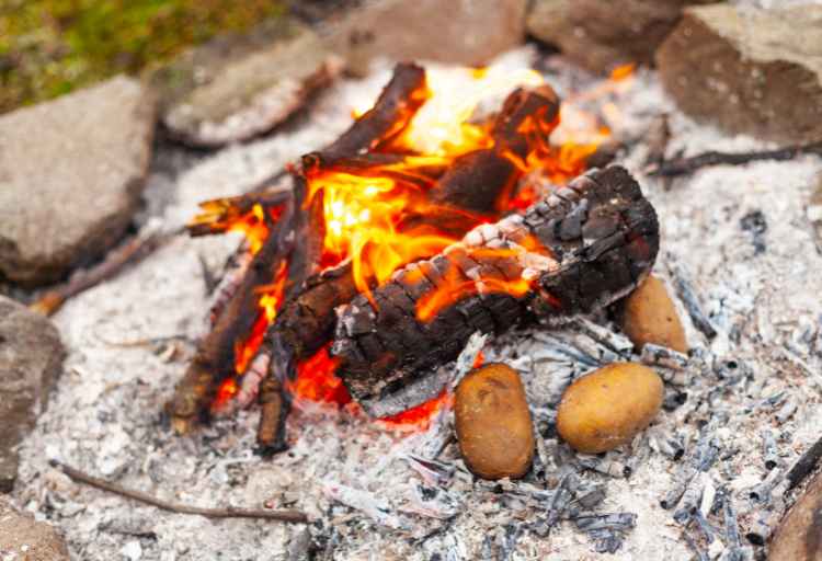 how to cook potatoes in fire without foil