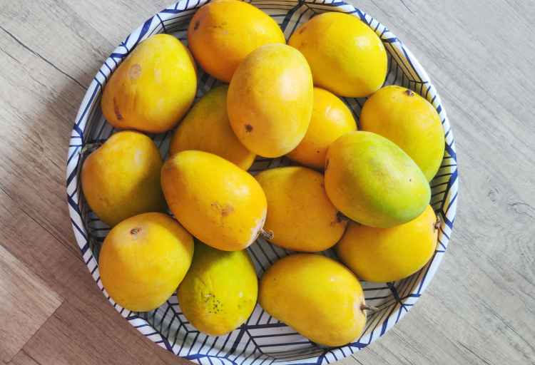 Is Alphonso Mango Sweet? 3 Factors Influencing The Sweetness
