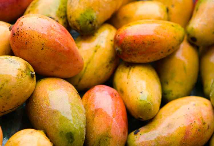 What Happens If You Eat a Bad Mango? Risks and Precautions