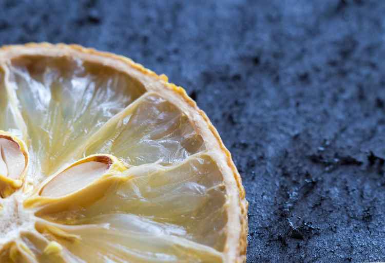 what-happens-when-you-swallow-a-lemon-seed-facts-and-myths-eatwisefood