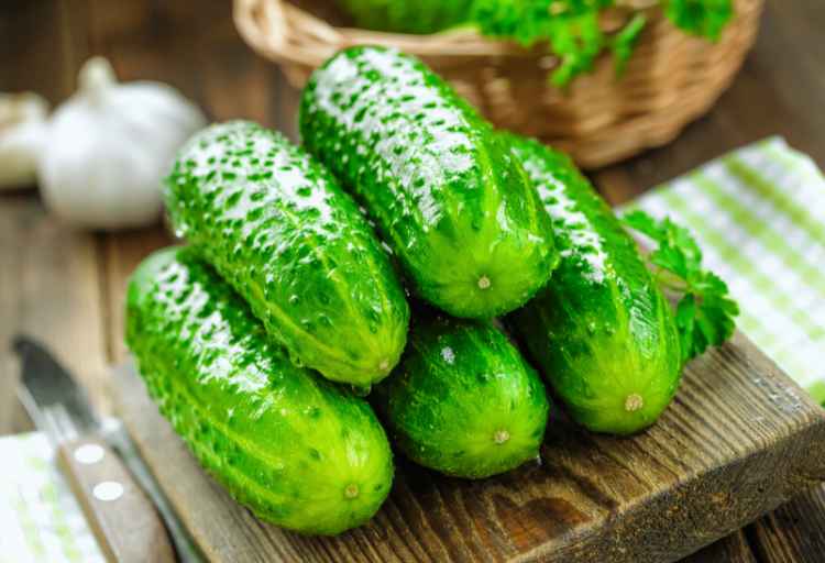 why do cucumbers have spikes